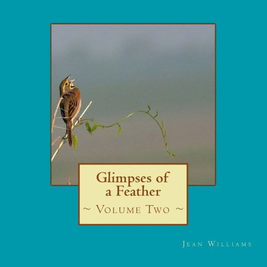 Cover for Jean Williams · Glimpses of a Feather - Volume Two (Paperback Book) (2017)