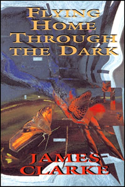 Cover for James Clarke · Flying Home Through the Dark (Paperback Book) (2001)