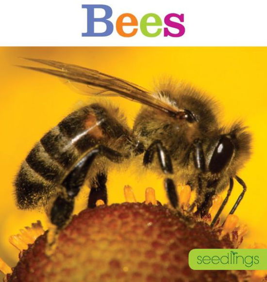 Cover for Aaron Frisch · Seedlings: Bees (Paperback Book) (2015)