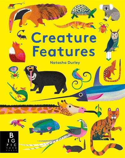 Cover for Natasha Durley · Creature Features: Jungle (Hardcover Book) (2018)