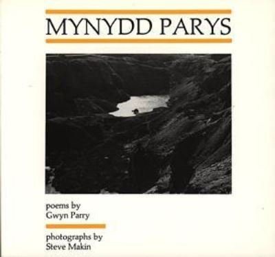 Cover for Gwyn Parry · Mynydd Parys (Pocketbok) (1995)