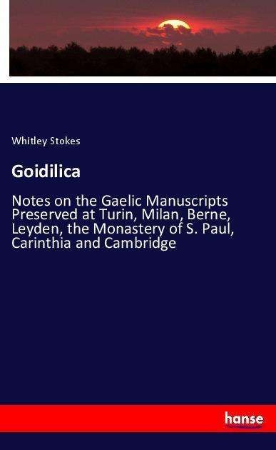 Cover for Stokes · Goidilica (Bog)