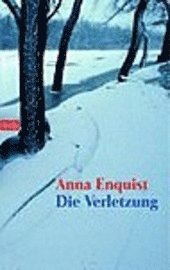 Cover for Anna Enquist · Btb.73138 Enquist.verletzung (Book)