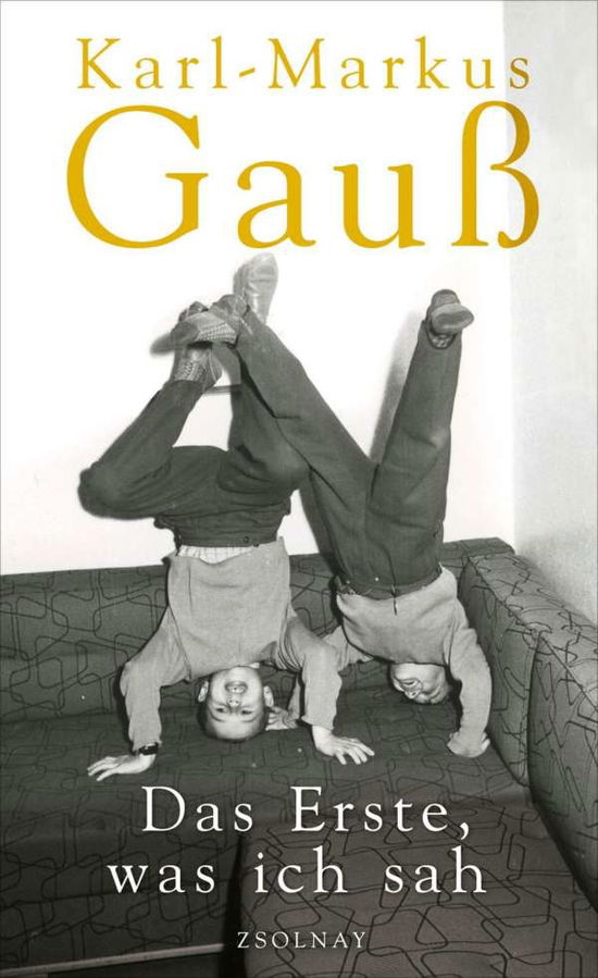 GauÃŸ:das Erste,was Ich Sah - Karl-markus Gauß - Books -  - 9783552056381 - 