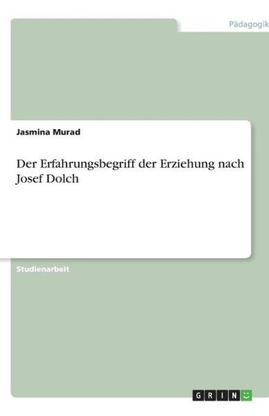 Der Erfahrungsbegriff der Erziehu - Murad - Books -  - 9783640319381 - 