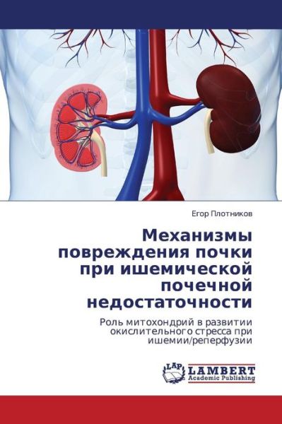 Cover for Egor Plotnikov · Mekhanizmy Povrezhdeniya Pochki Pri Ishemicheskoy Pochechnoy Nedostatochnosti: Rol' Mitokhondriy V Razvitii Okislitel'nogo Stressa Pri Ishemii / Reperfuzii (Paperback Book) [Russian edition] (2010)