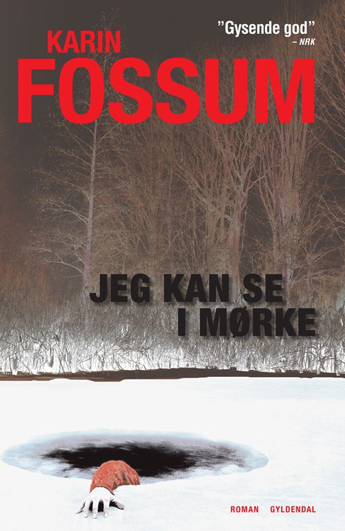 Cover for Karin Fossum · Jeg kan se i mørke (Innbunden bok) [1. utgave] [Indbundet] (2012)