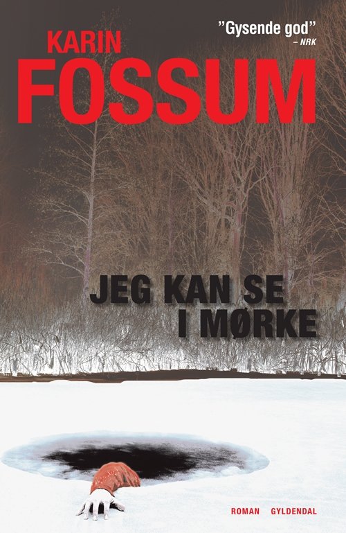 Cover for Karin Fossum · Jeg kan se i mørke (Gebundesens Buch) [1. Ausgabe] [Indbundet] (2012)