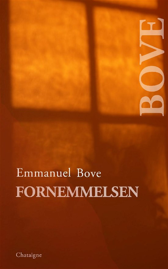 Fornemmelsen - Emmanuel Bove - Bøger - Saxo Publish - 9788740953381 - 18. januar 2018