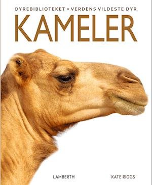 Cover for Kate Riggs · Kameler (Bound Book) [1er édition] (2023)