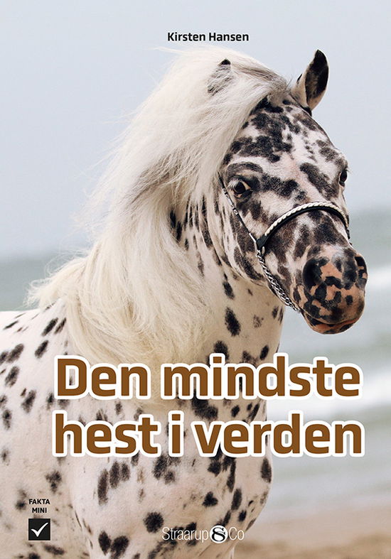 Cover for Kirsten Hansen · Mini: Den mindste hest i verden (Hardcover Book) [1. wydanie] (2024)