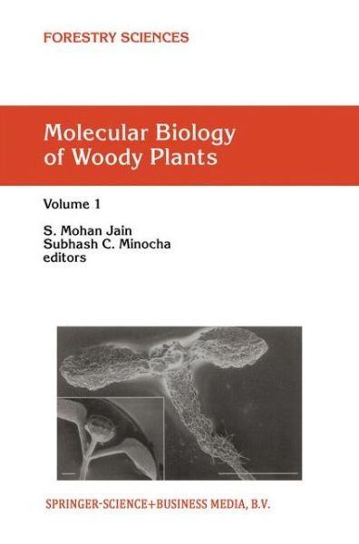 Cover for S M Jain · Molecular Biology of Woody Plants: Volume 1 - Forestry Sciences (Paperback Book) [Softcover reprint of the original 1st ed. 2000 edition] (2011)