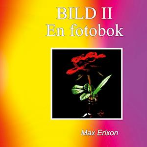 Cover for Max Erixon · Bild II (Paperback Book) (2023)