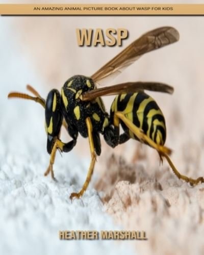 Cover for Heather Marshall · Wasp: An Amazing Animal Picture Book about Wasp for Kids (Pocketbok) (2021)
