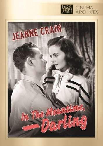 Cover for In the Meantime Darling (DVD) (2012)