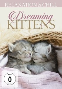 Cover for Relaxation &amp; Chill · Dreaming Kittens (DVD) (2016)