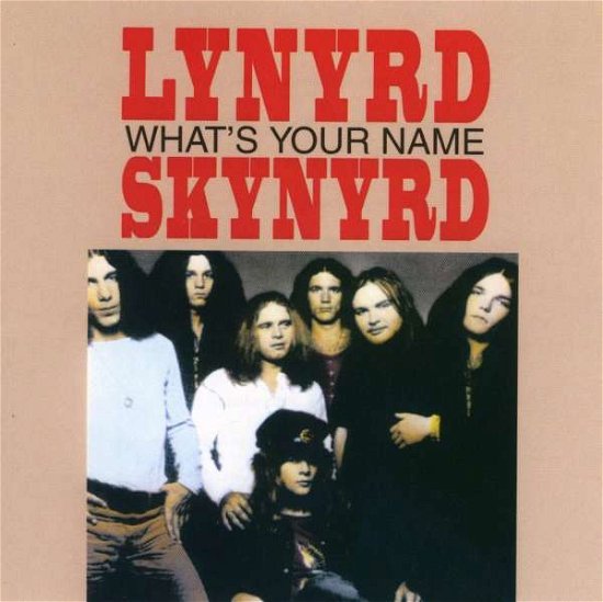 What'S Your Name - Lynyrd Skynyrd - Musikk - MCA Special Products - 0602517372382 - 5. juni 2007