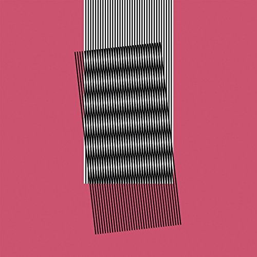 Cover for Hot Chip · Why Make Sense? (LP) [Standard edition] (2015)