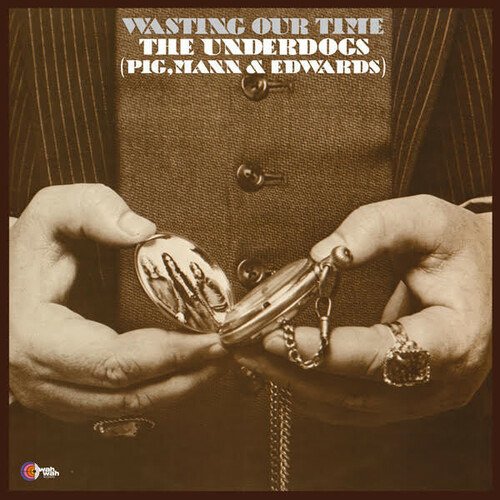 Cover for Underdogs (Pig / Mann &amp; Edwards) · Wasting Our Time (LP) (2020)