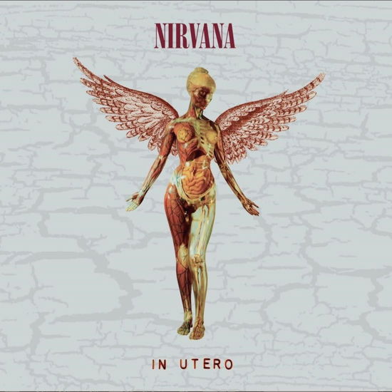 In Utero - 30th Anniversary - Nirvana - Music - UNIVERSAL MUSIC CORPORATION - 4988031598382 - 3 listopada 2023