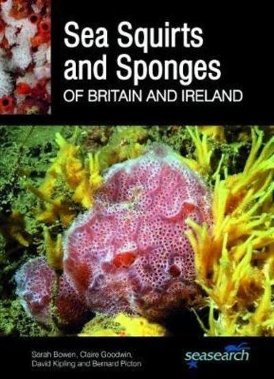 Cover for Sarah Bowen · Sea Squirts and Sponges of Britain and Ireland (Paperback Book) (2018)
