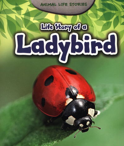 Cover for Charlotte Guillain · Life Story of a Ladybird (N/A) (2015)