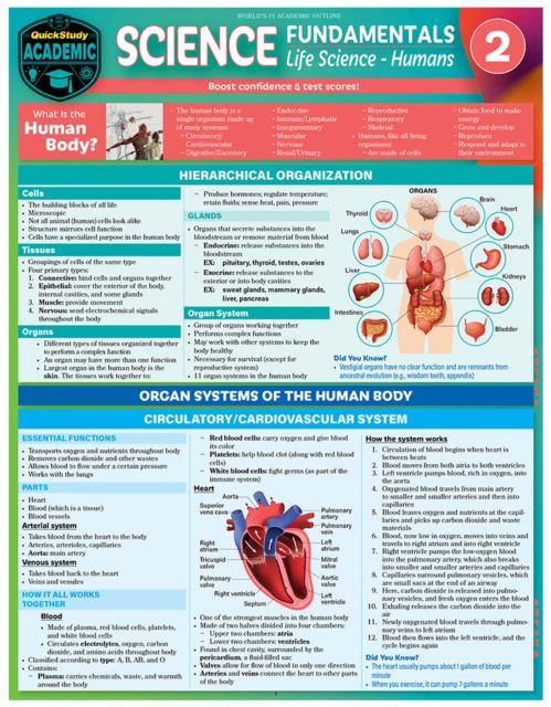 Science Fundamentals 2 - Life Science: Humans - Gardner, MSc, MScEd, Jane Parks - Books - Barcharts, Inc - 9781423249382 - September 29, 2023