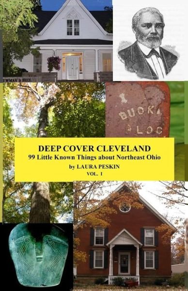 Cover for Ms Laura Peskin · Deep Cover Cleveland: 99 Little Known Things About Northeast Ohio (Paperback Bog) (2014)