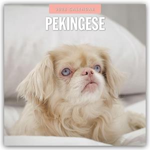 Cover for Red Robin · Pekingese 2026 Square Wall Calendar (Paperback Book) (2025)