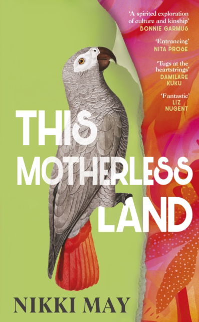 Cover for Nikki May · This Motherless Land (Pocketbok) (2025)