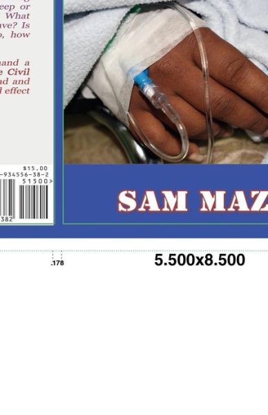 Cover for Mr Sam Maze · Are Civil Rights on Life Support? (Paperback Book) (2012)