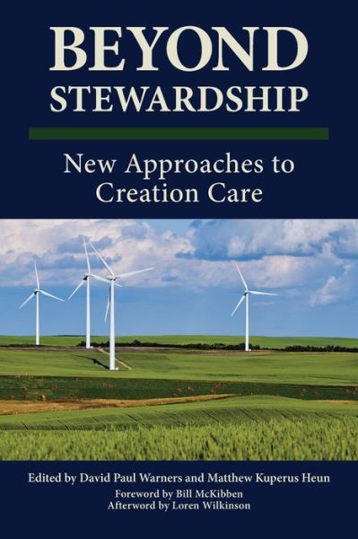 Cover for David P Warners · Beyond Stewardship (Paperback Book) (2019)