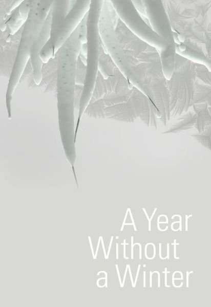 Cover for Dehlia Hannah · A Year Without a Winter (Paperback Bog) (2019)