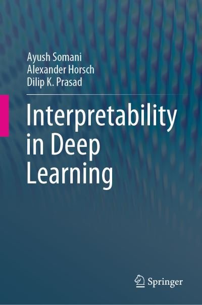 Cover for Ayush Somani · Interpretability in Deep Learning (Innbunden bok) [1st ed. 2023 edition] (2023)