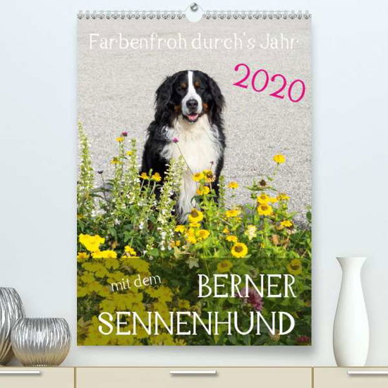 Cover for Brenner · Farbenfroh durch's Jahr mit dem (Book)