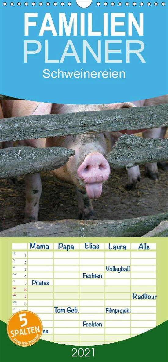 Cover for Berg · Schweinereien - Familienplaner hoc (Buch)