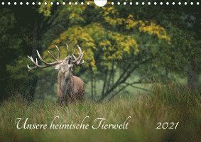 Cover for Reibert · Unsere heimische Tierwelt (Wand (Book)