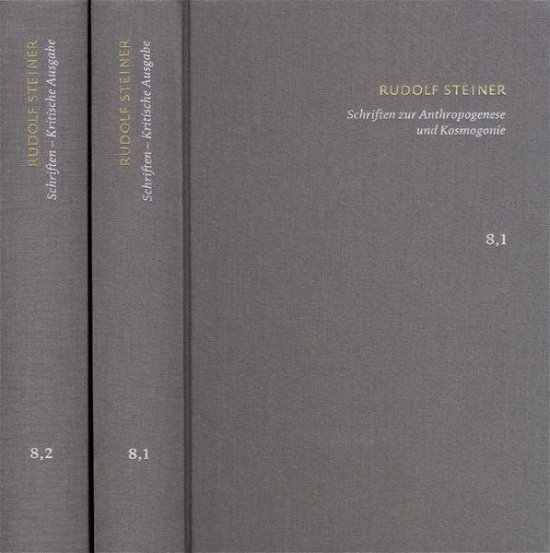 Cover for Steiner · Schriften.08 (Buch) (2018)