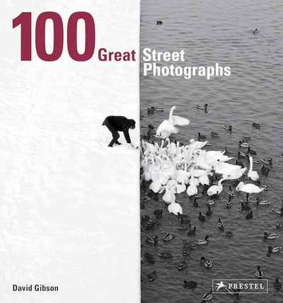 100 Great Street Photographs: Paperback Edition - David Gibson - Books - Prestel - 9783791384382 - September 3, 2018