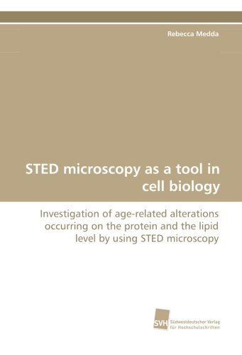 Cover for Rebecca Medda · Sted Microscopy As a Tool in Cell Biology: Investigation of Age-related Alterations Occurring on the Protein and the Lipid Level by Using Sted Microscopy (Paperback Book) (2010)