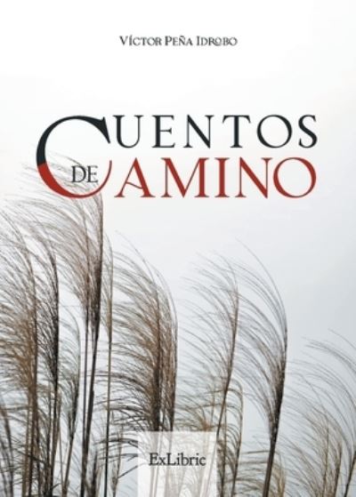 Cover for Víctor Peña Idrobo · Cuentos de camino (Paperback Book) (2021)