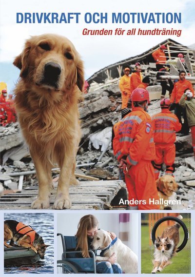 Cover for Anders Hallgren · Drivkraft och motivation : grunden för all hundträning (Gebundesens Buch) (2018)