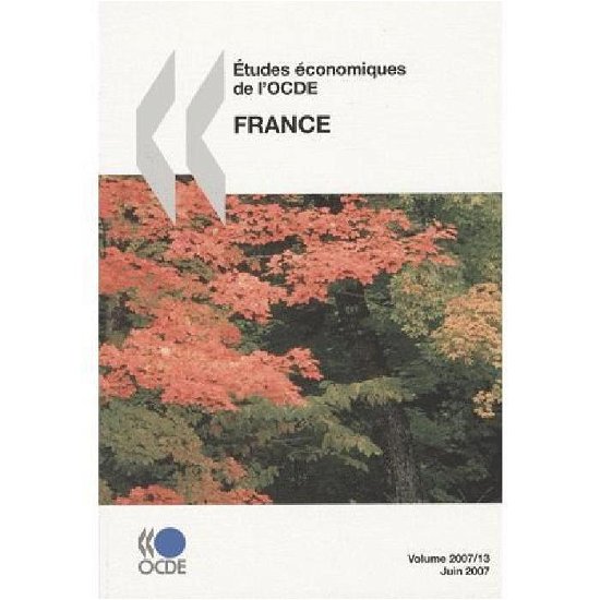 Études Économiques De L'ocde : France 2007: Edition 2007 - Oecd Organisation for Economic Co-operation and Develop - Livres - OECD Publishing - 9789264033382 - 27 juin 2007