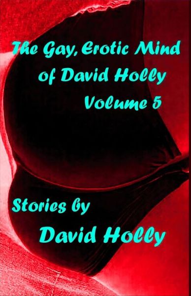 Cover for David Holly · The Gay, Erotic Mind of David Holly, Volume 5 (Paperback Book) (2021)