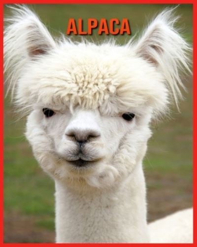 Cover for Alicia Moore · Alpaca (Paperback Book) (2021)