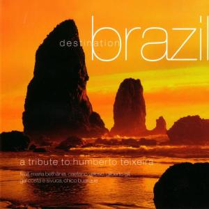 Destination Brazil / Various - Destination Brazil / Various - Musiikki - NET FX - 0090204951383 - tiistai 29. tammikuuta 2013