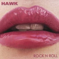 Cover for Hawk · Rock N Roll (CD) (2007)