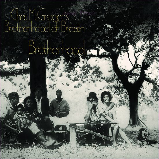 Cover for Chris Mcgregors Brotherhood of Breath · Brotherhood (Yellow Vinyl) (LP) (2024)