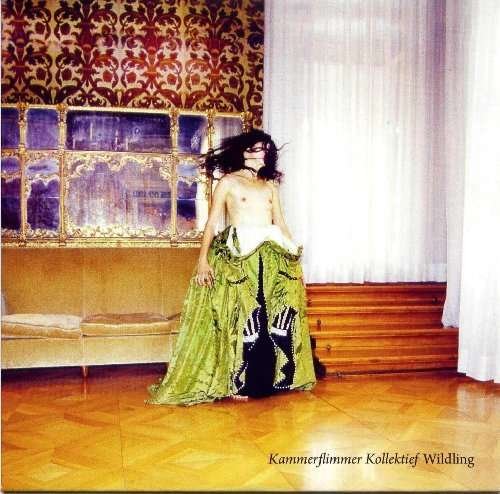 Cover for Kammerflimmer Kollektief · Wildling (CD) (2010)