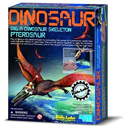 Cover for 4m · Dig a Dinosaur Skeleton - Pterosaur (Leketøy)